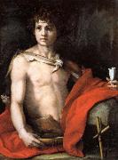Andrea del Sarto The Young St.John USA oil painting reproduction